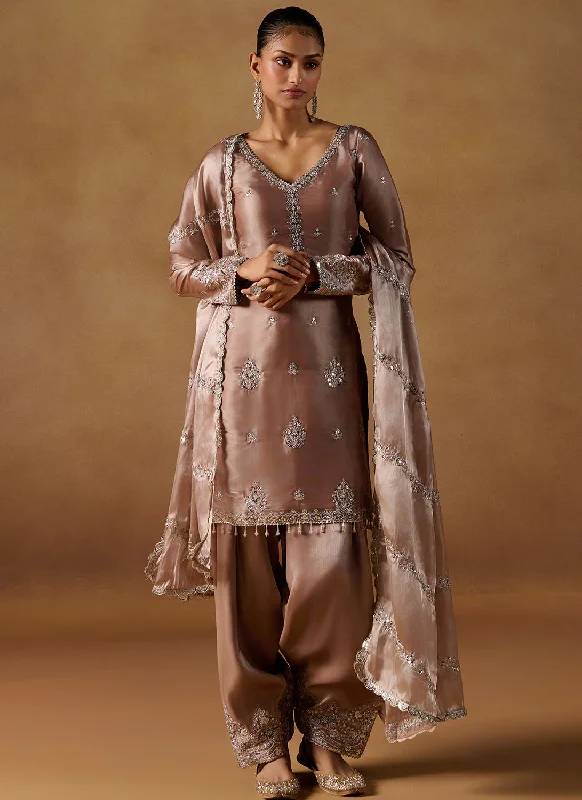 Dusty Brown Embroidered Tissue Punjabi Suit